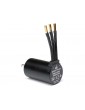 Spektrum Firma 3660-4000Kv 4-Pole Sensorless Brushless Motor: 5mm