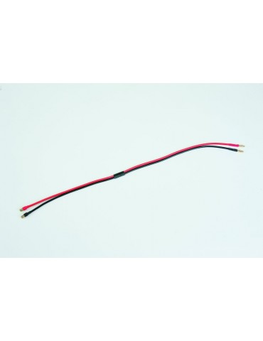 Charge lead with BECplug