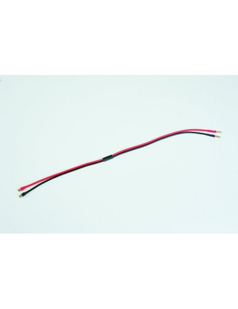 Charge lead with BECplug