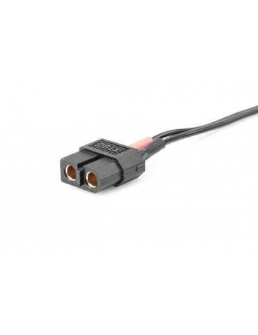 Charging Wire - 50cm - XT60...