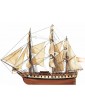 OCCRE Diana Standmodellbausatz 1:85