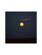 Lėktuvas E-flite Night Timber X 1.2m SAFE Select BNF Basic
