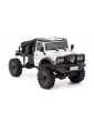 RTR Truck Trial HOBBYTECH CRX18 Flat Cage 4x4 - Silver