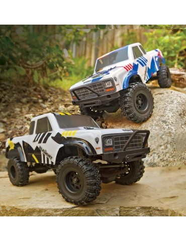 Element RC Enduro24 Sendero Trail Truck RTR, black and yellow