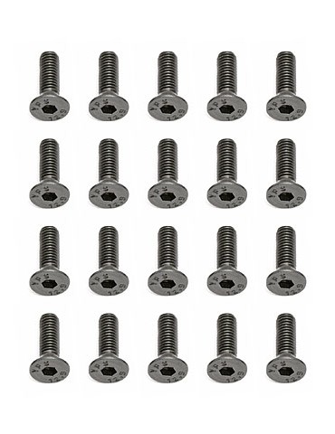 Screws, M3x10 mm FHCS