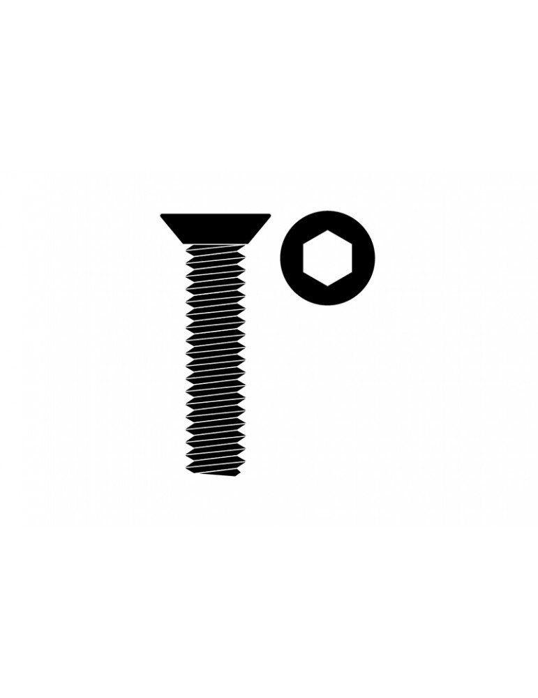 Steel Screws M4 x 20mm - Hex Flat Head - 10 pcs