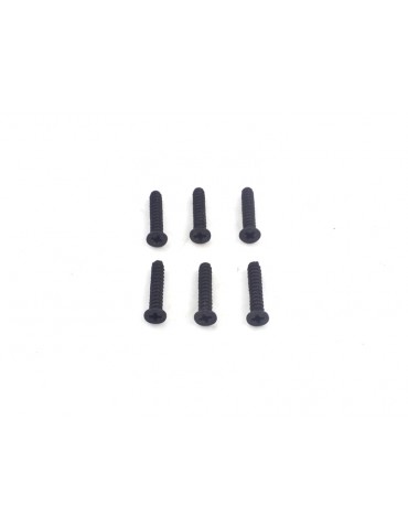 Flat Head Screws 2.6*14 6P
