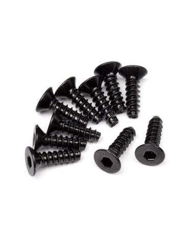 TP. Flat Head Screw M3x10mm (10pcs)