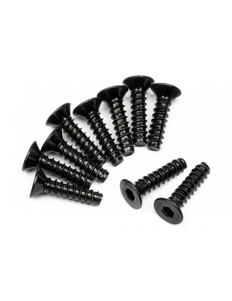 TP. Flat Head Screw M3x12mm (10pcs)