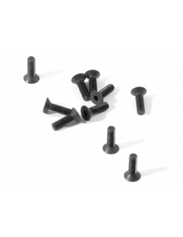 FLAT HEAD SCREW M3x10mm HEX SOCKET