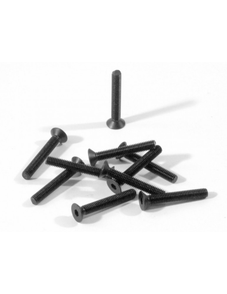 Flat Head Hex Screw M3x20mm (10pcs)