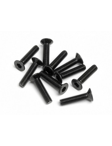 Flat head screw M2,5x12mm (hex socket/10pcs)
