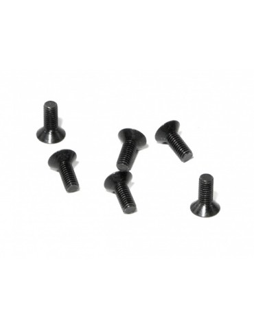 Flat head screw M3x8mm (6pcs)