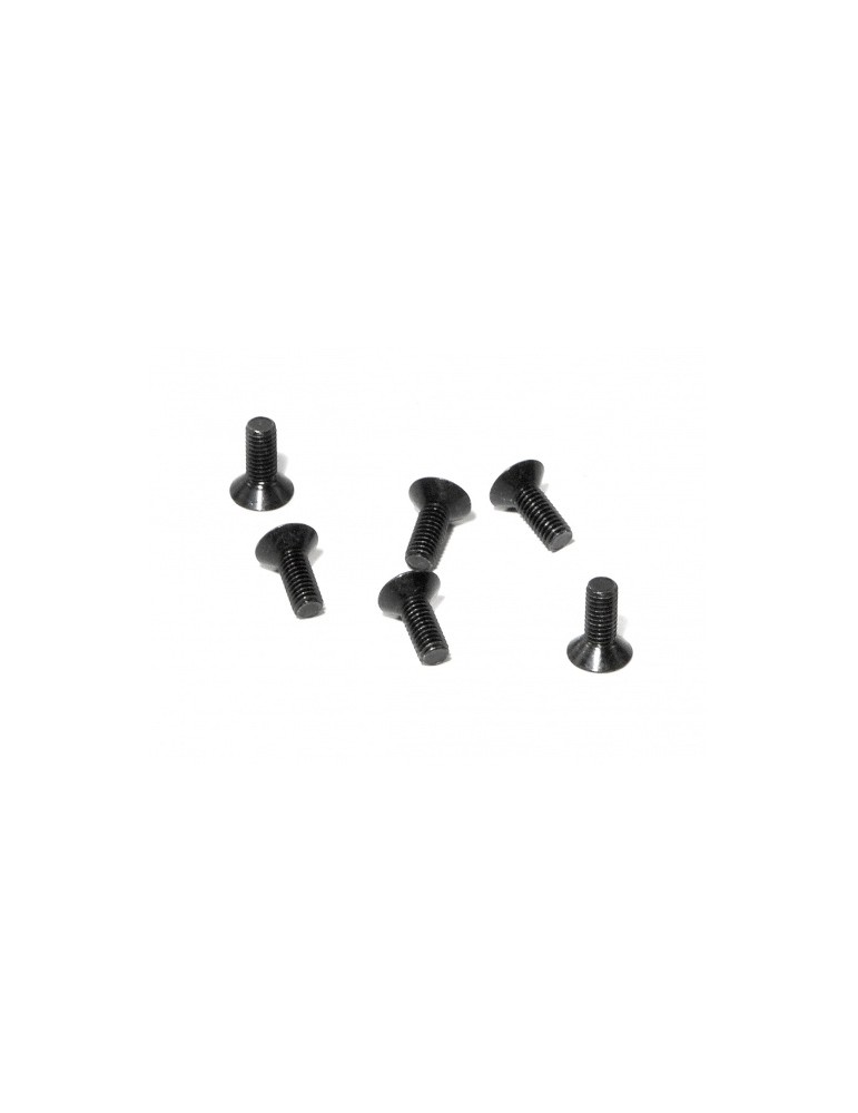 Flat head screw M3x8mm (6pcs)