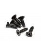 TP FLAT HEAD SCREW M3x10mm (6 pcs)