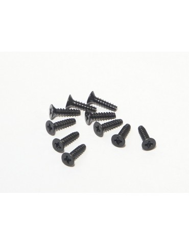 TP. FLAT HEAD SCREW M3x12mm
