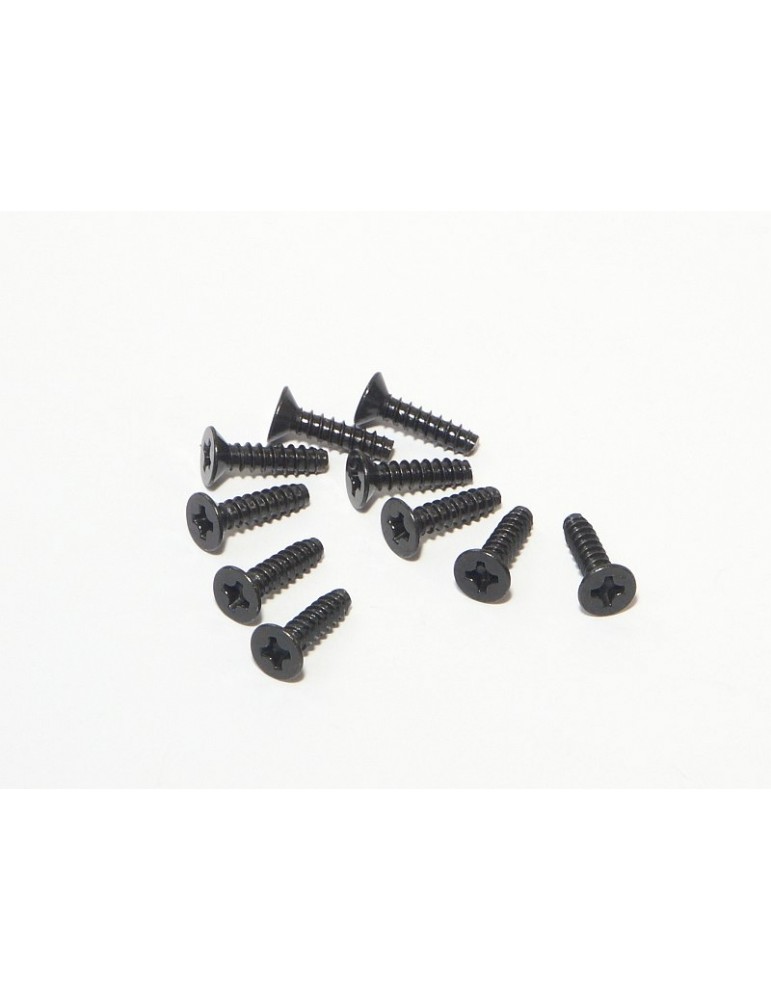 TP. FLAT HEAD SCREW M3x12mm