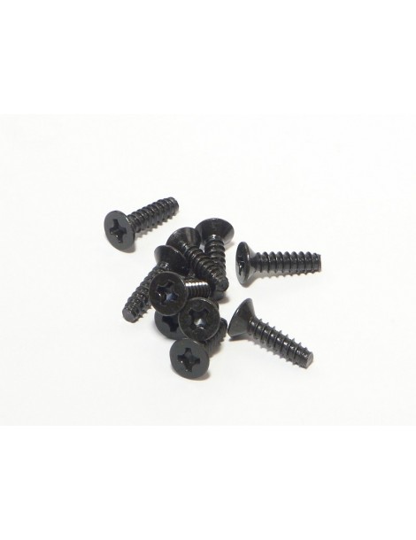 TP. FLAT HEAD SCREW M3x12mm