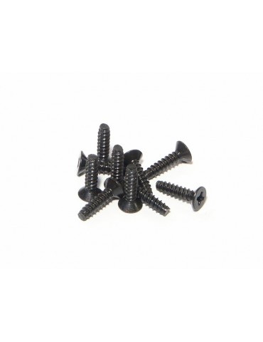 TP. FLAT HEAD SCREW M3x12mm
