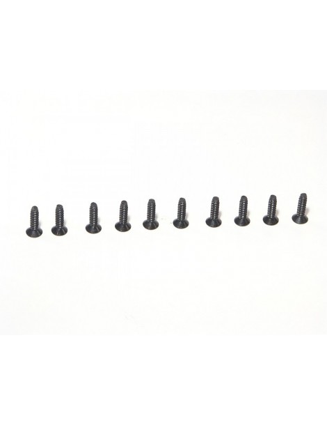 TP. FLAT HEAD SCREW M3x12mm