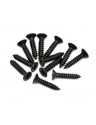 TP. FLAT HEAD SCREW M3x15mm