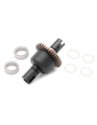 Differential (front or rear)