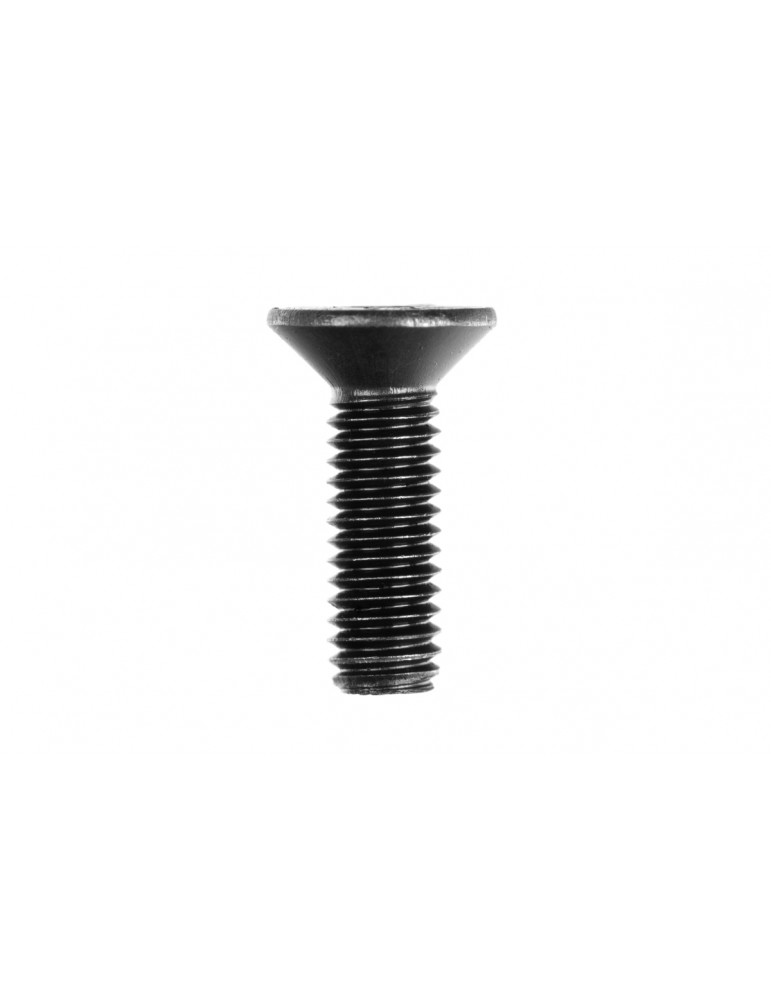 Sink Head Screws 3x10 mm (6 pcs)