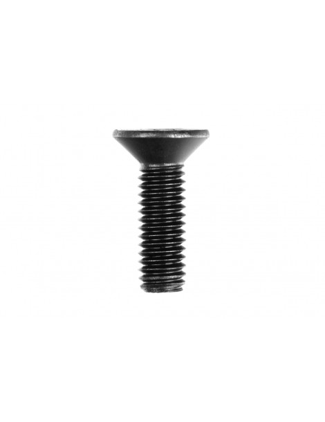 Sink Head Screws 3x10 mm (6 pcs)