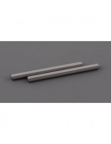 Rear lower Susp pin