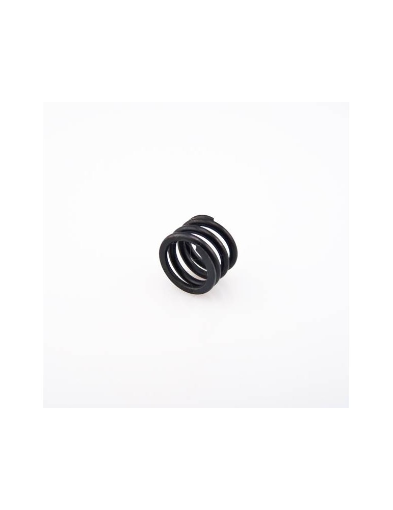 Servo saver spring