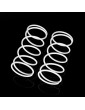 BXR.S1 front shock spring