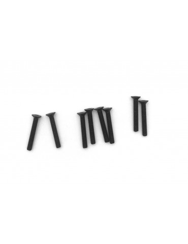Flat Hex Machine Screw 3*20 (8pcs)