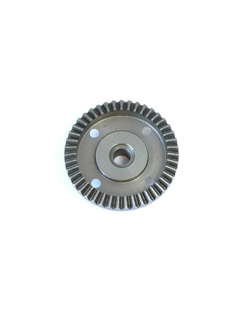 Large Bevel Diff Gear