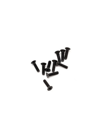 SWORKz FH/ST Screw M3x12mm (10)
