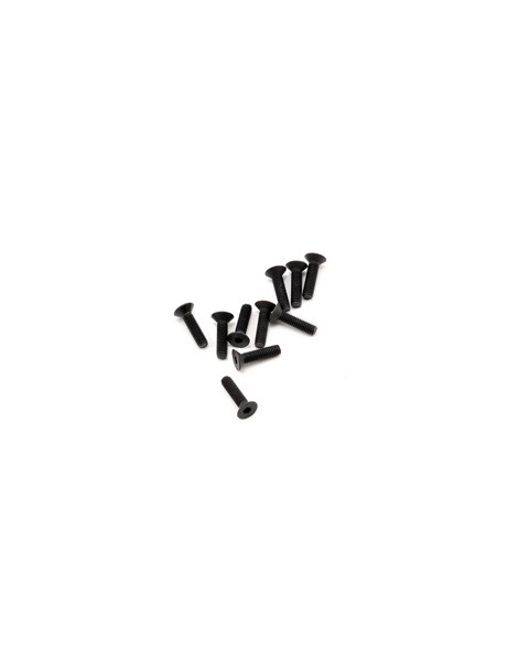 SWORKz FH/ST Screw M3x12mm (10)
