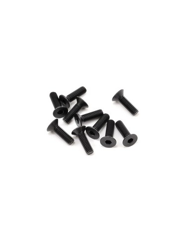 SWORKz FH/ST Screw M3x10mm (10)