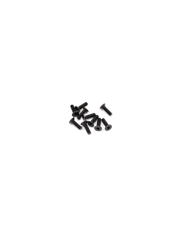 SWORKz FH/ST Screw M3x10mm (10)