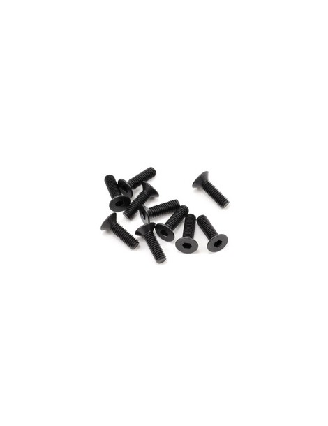 SWORKz FH/ST Screw M3x14mm (10)