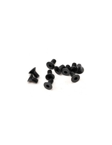 SWORKz FH/ST Screw M3x6mm (10)