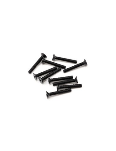 SWORKz FH/ST Screw M3x20mm (10)