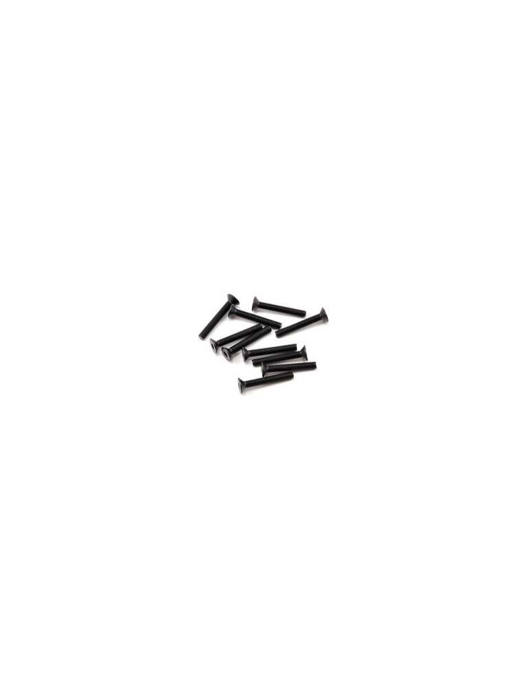 SWORKz FH/ST Screw M3x20mm (10)