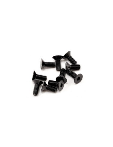 SWORKz FH/ST Screw M4x10mm (10)