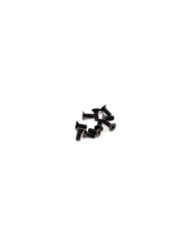 SWORKz FH/ST Screw M4x10mm (10)
