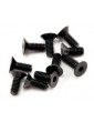 SWORKz FH/ST Screw M4x10mm (10)