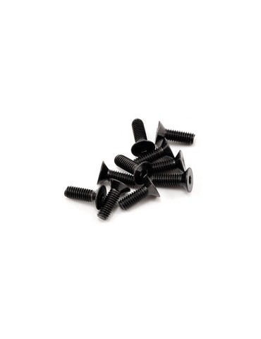 SWORKz FH/ST Screw M4x12mm (10)