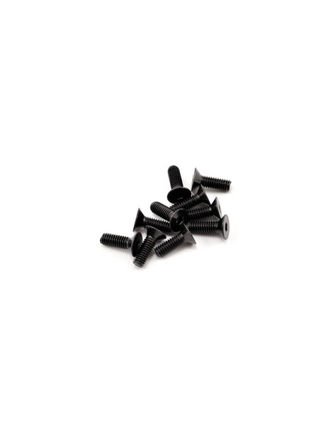SWORKz FH/ST Screw M4x12mm (10)