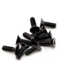 SWORKz FH/ST Screw M4x12mm (10)