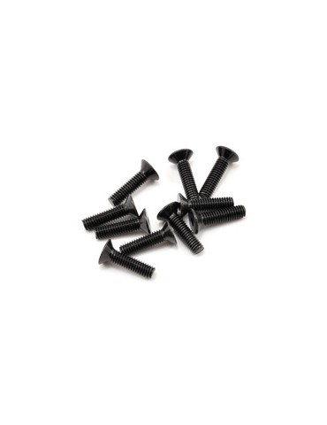 SWORKz FH/ST Screw M4x16mm (10)