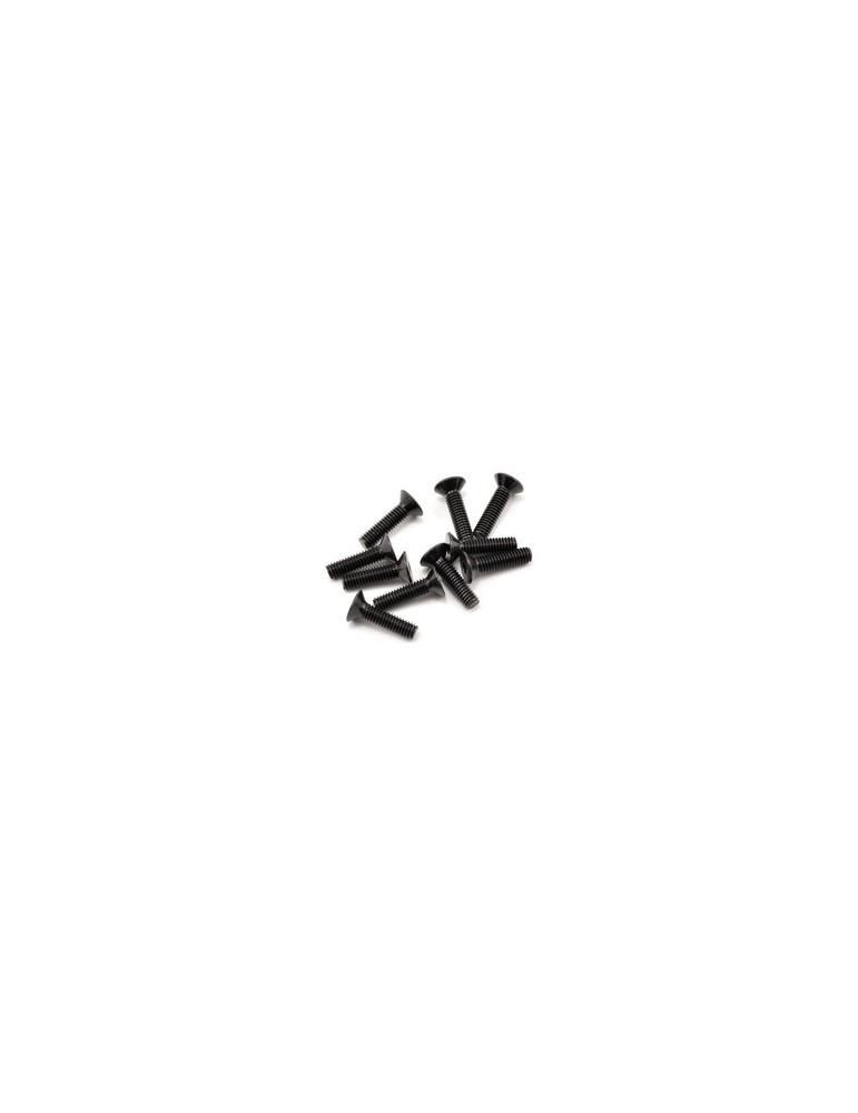 SWORKz FH/ST Screw M4x16mm (10)