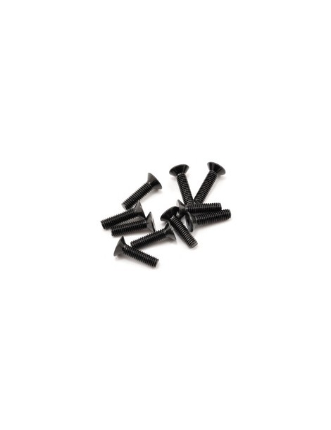 SWORKz FH/ST Screw M4x16mm (10)